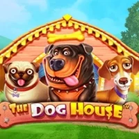 The Dog House The Dog House